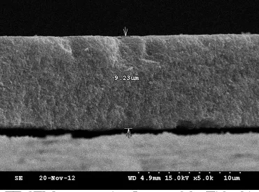 Fig. 7. FE-SEM Image of the TiO2 grain size  