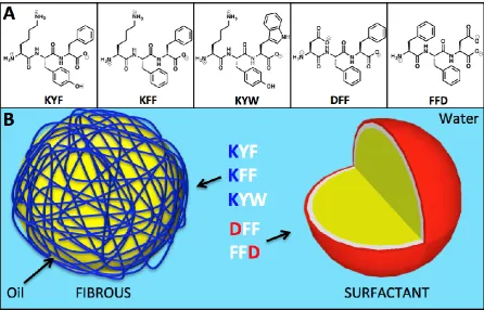 Figure 1: A) chemical structures of tripeptides tested B) schematic representation of  emulsions 