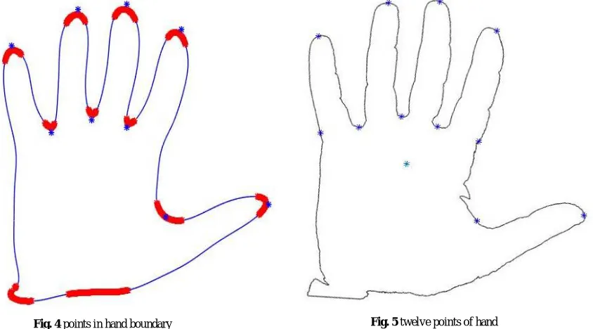 Fig. 5 twelve points of hand 