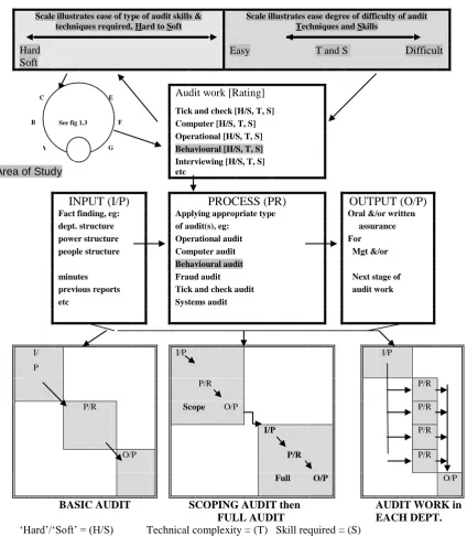 Figure 2.4 Detailed schematic of this research; behavioural auditing  
