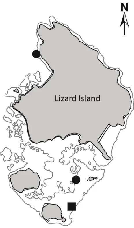 Figure 1. Site map. The filled square represents the location of thesediment removal study, where green turtles (Chelonia mydas) wereobserved feeding