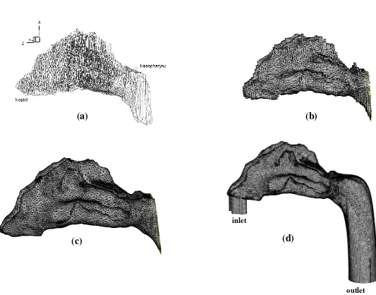 Figure 2.1: Human nasal cavity model construction; (a) MRI slice data; (b) Surface generation with Amira; (c) Surface smoothing with Magics; (d) Mesh generation with ICEM 