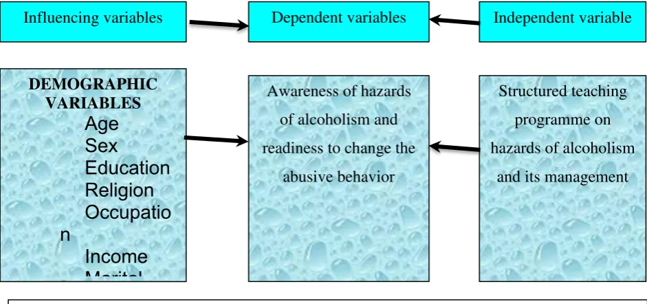 Figure: 3.1: The Schematic Representation of Research Design 