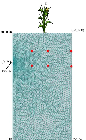 Figure 2.2. Domain geometry and generated unstructured finite element mesh for Hydrus-2D (0, 0) 