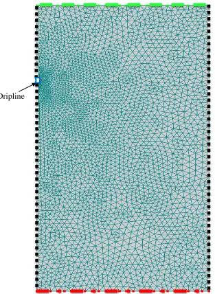 Figure 2.3. Boundaries used for Hydrus-2D simulations.  