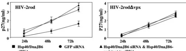FIG. 5. Hsp40/DnaJB6 is required for efﬁcient HIV-2 replication in U937 cells. U937 cells (106siRNA, and/or Hsp40/DnaJB6 resistant to the siRNA were infected with 2Two hours later, the cells were washed with PBS three times and a viral entry inhibitor (T-2