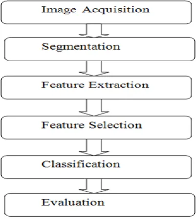 Fig.1 Digital Image Processing 