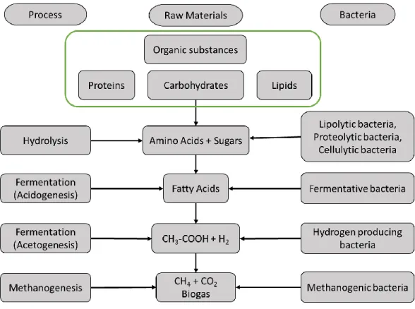 Figure 2. 1: Anaerobic digestion process flow diagram (Adekunle &amp; Okolie, 2015) 