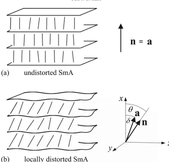 Fig. 1 A schematic diagram of locally arranged planar layers of SmA liquid crystal. Inalignments may be perturbed from their preferred undistorted orientations, in which caseneed no longer coincide