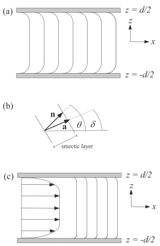 Fig. 2. (a)state situation when there is a pressure-driven ﬂow in thebetween two parallel ﬁxed boundary plates located atmeasured relative to the horizontalformly aligned in theeﬀect upon the orientation of the SmA layers near the boundaries.ﬂow normal to 