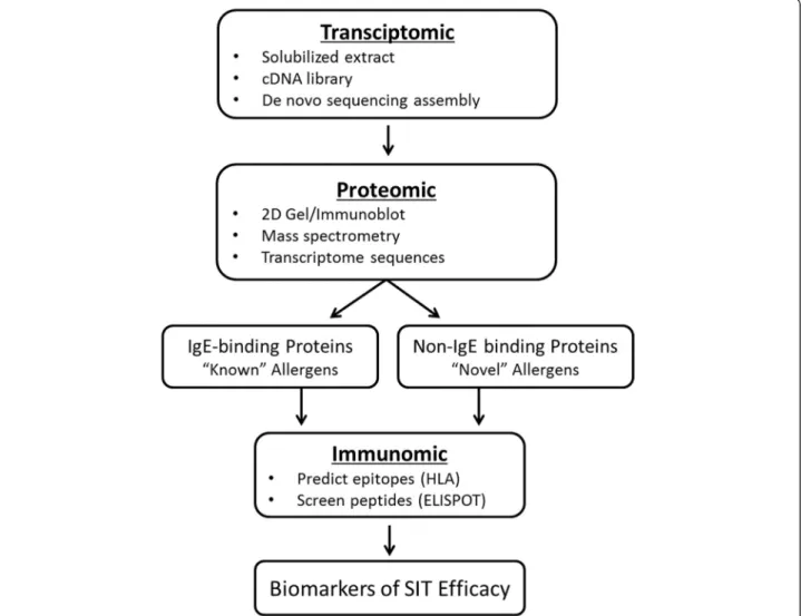 Figure 1 Scheme of epitope identification process. Diagrammatic representation of the process of antigen, epitope, and biomarker identification as detailed in this review.