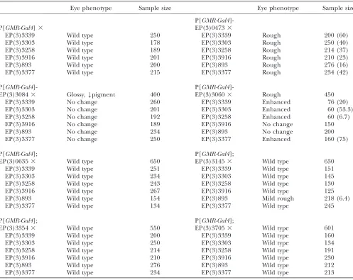 TABLE 2