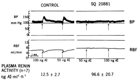 FIGURE 1 Converting enzyme blockade. The chart recordings demonstrate systemic BP (mm Hg, top panel), and RBF (ml/min, bottom panel) responses to test injections of 50 and 100 ng of angiotensin I (Al) before (left) and after (right) administration of CEI