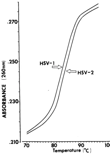 FIG. 3.40,000HSV-1ofmentation 3H-HSV-2 Zone sedimentation of HSV DNA in neutral sucrose density gradients