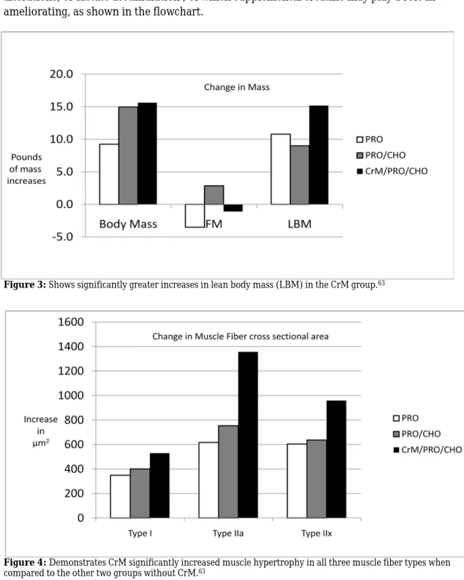 Figure 3: Shows significantly greater increases in lean body mass (LBM) in the CrM group