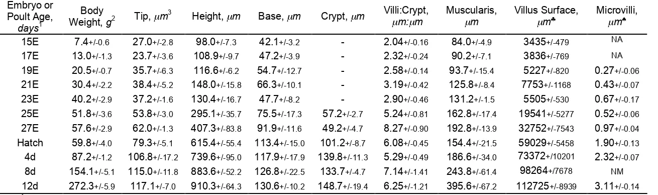 Table 1. Histomorphometrical analysis of jejunum villi in turkey embryos and poults from 15 days of incubation (E) to 12 days post-hatch (d)
