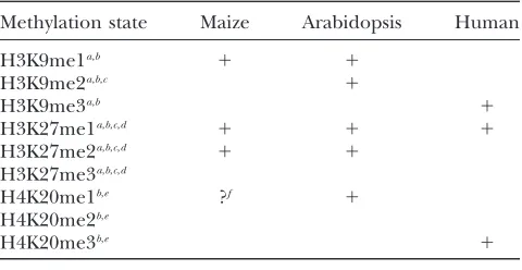 TABLE 2