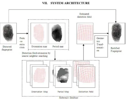 Fig. 3 Rectifying Distorted Fingerprints   