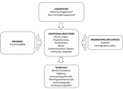 Figure 6 :  Summary : Phase  3 : ADJUSTMENT   ▪ ASSIMILATION ▪ 