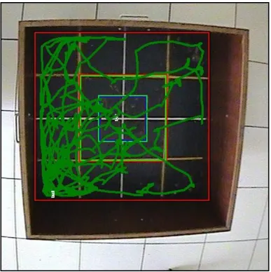 Figure 6 :Locomotor behavior of the mice in the IMIPRAMINE group