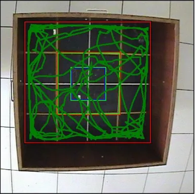 Figure 7  :Locomotor behavior of the mice in the RR2 group 