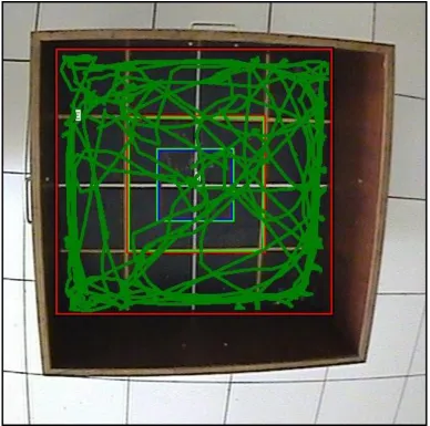 Figure 8 :Locomotor behavior of the mice in the RR1 group 