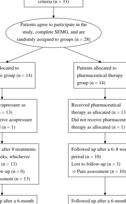 Figure 1. Flow diagram of randomized, controlled clinical trial on chronic headache.