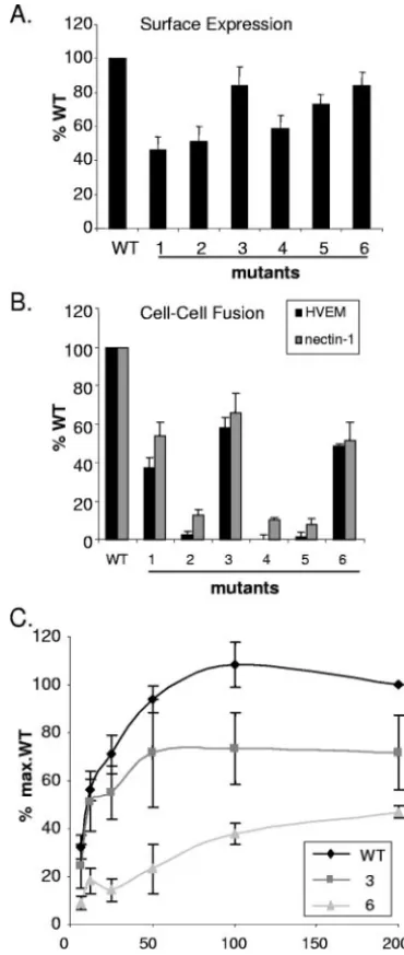 FIG. 6. Surface expression and cell-cell fusion of gD mutants.CHO-K1 cells were transfected with plasmids expressing a gD mutant and