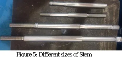 Figure 5: Different sizes of Stem 