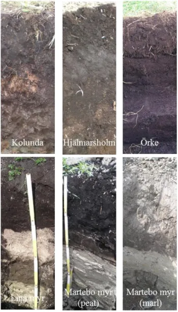Figure 4. Images of the soil profile at Kolunda, Hjälmarsholm, Örke, Lina myr, Martebo myr  (peat and marl)