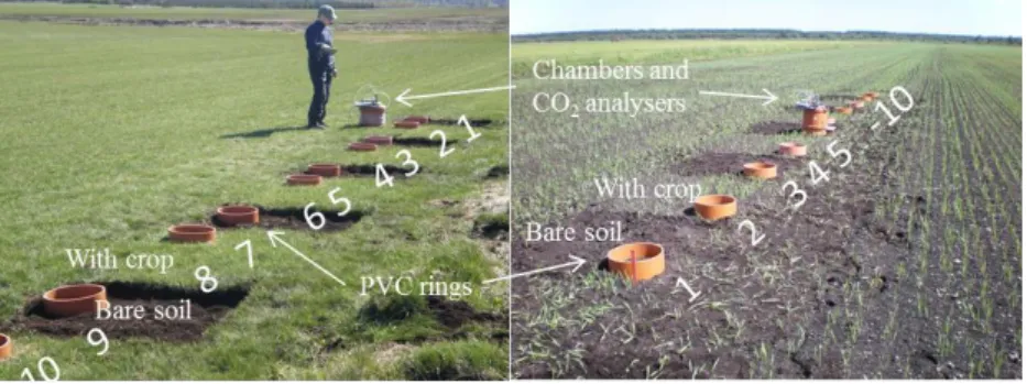 Figure 6. Examples of the field set-up. Left: lawn grass at Kolunda. Right: newly sown barley at  Lina myr
