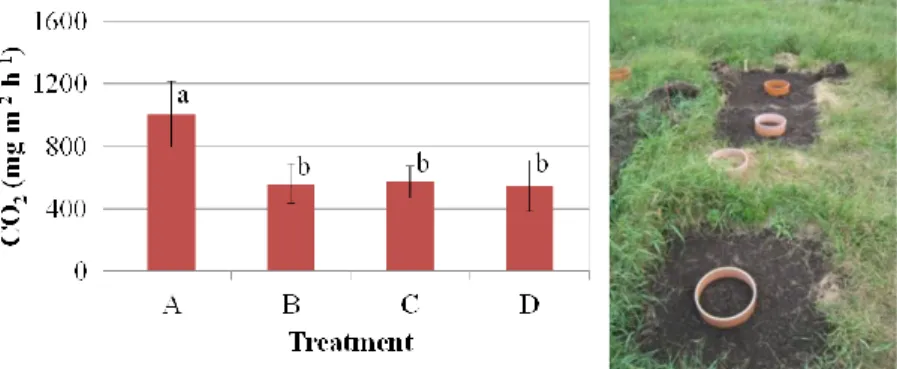 Figure 8. Effects of four different methods of vegetation removal before measurement on carbon  dioxide (CO 2 ) flux from field plots