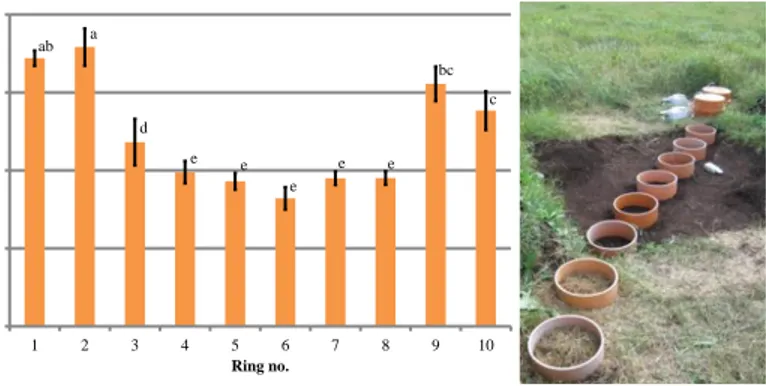 Figure 9.  Border effects on carbon dioxide (CO 2 ) emissions from bare soil plots. Ring nos