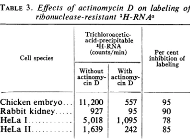 TABLE 3. Effects of actinomycin D on labeling ofriboniuclease-resistant sH-RNAa