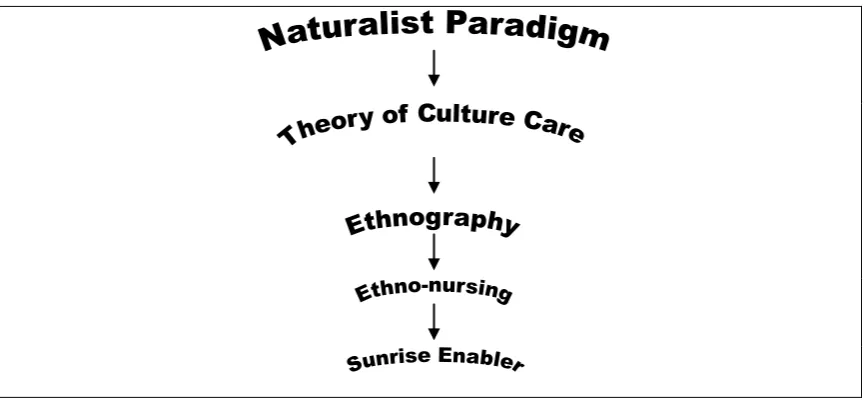 Figure 4.1  