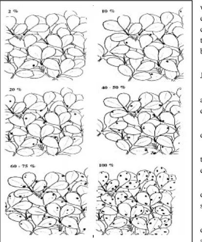 Figure 25. Learn to estimate leafspot damage accurately.