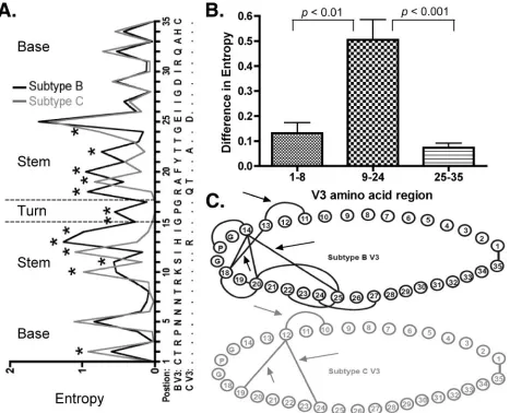 FIG. 1. Differences in variability between subtype B and subtype C V3 regions. (A) Entropy differences at each amino acid position in subtypeB and subtype C V3 regions