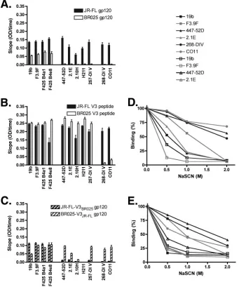 FIG. 2. Differences in binding of V3 MAbs to subtype B and C V3 protein sequences. (A) Binding to wild-type JR-FL and BR025 gp120.(B) Binding to wild-type JR-FL and BR025 V3 peptides