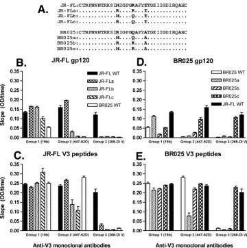 FIG. 3. Binding of anti-V3 MAbs with the progression of V3 from the JR-FL sequence to the BR025 sequence and the reverse