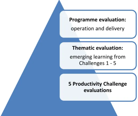 Figure 1.2 Evaluation structure 