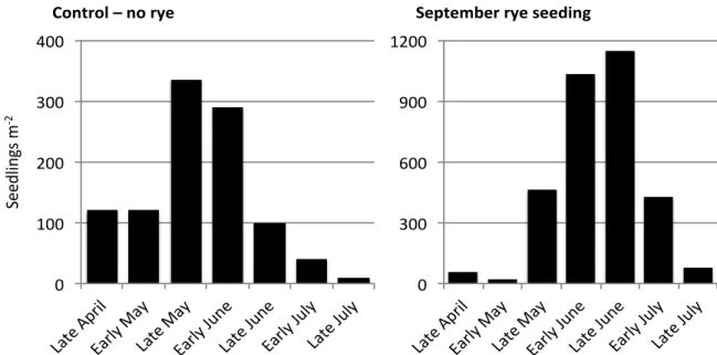 Figure 1. Effect of a cereal rye cover crop on the emergence pattern of waterhemp. 2014
