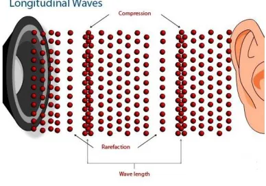 Figure 1: Transvers Waves.  