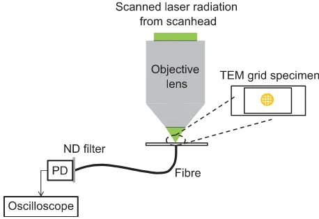 Fig. 1. A Leica SP-5 scanning system (not pictured) directed the scannedradiation to the objective lens