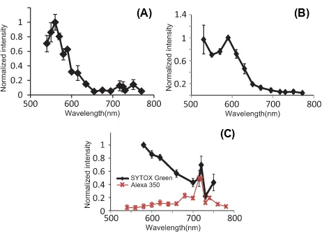 Fig. 5. Excitation spectra for (A) Hoechst 33258 with Pdiamonds and line) and AlexaFluor 350 (red crosses and line) with Pexc = 5 mW,(B) Calcofluor White with Pexc = 2.5 mW and (C) SYTOX Green (blackexc =10 mW.