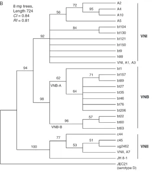 Figure 2.—Continued.