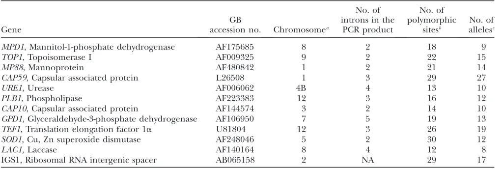 TABLE 3