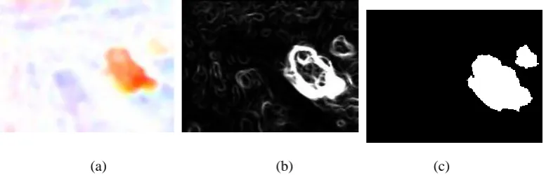 Fig.10(a) is the Middlebury color coding of the foreground optical flows (Fig.6(a)) in which there are two 