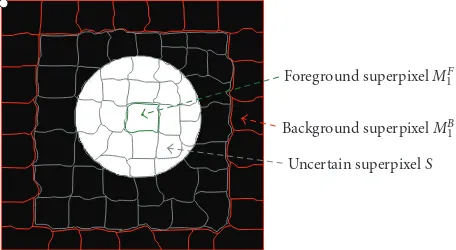 Figure 7: A example of an attached nodule segmentation usingcontiguous slices in CT; (b1–b3) nodule segmentation using theﬁrst term only in (in (deﬁned in (diﬀerent pairwise smoothing energies
