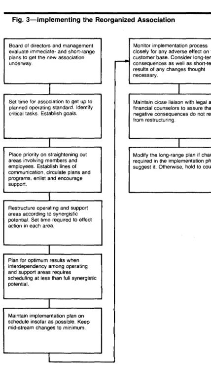 Fig.  3-lmplementing the  Reorganized  Association  ~ 