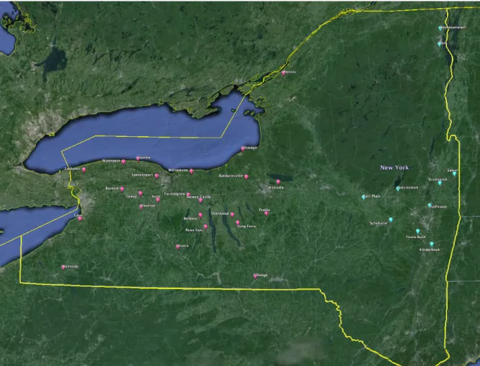 Figure 1. Map showing the 24 trap locations in western NY (pink) and the ten trap locations in  eastern NY (blue)